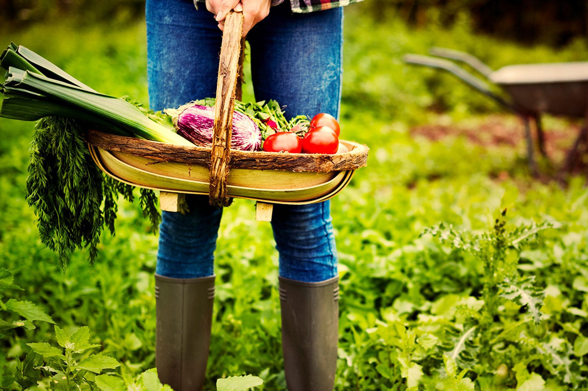 Agricultura Familiar e Regularização Fundiária em Parceria com Municípios e a Faixa de Fronteira